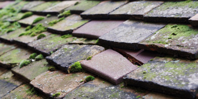Drefach roof repair costs